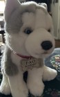 Fao Schwarz Siberian Husky Wolf Puppy Dog 10  Plush Red Collar 2018 Toy Blue Eye