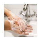 Dial Professional 33809ea 3 78 L Basics Liquid Hand Soap - Honeysuckle New