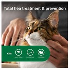 Advantage Ii Flea Spot Treatment Large Cats  over 9 Lbs  6 Doses - Free Shipping