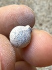 Original Spanish Shipwreck 1715 Fleet Lead Musket Pistol Ball Treasure Artifact