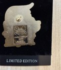 Disneyland Princess  D Limited Edition  Pin