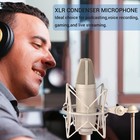 Condenser Microphone Xlr  Large Diaphgram Professional Recording Cardioid Mic   