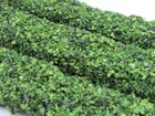 Dollhouse Miniature Outdoor Garden Hedge Set Of 3 Cahgsm