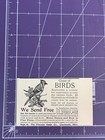 1900 Victorian Print Ad Game Of Birds Fireside Game Company Cincinnati Ohio