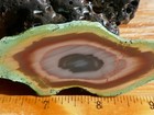 Tcr  Royal Imperial Jasper agate lapidary Rough Slab 36 Grams
