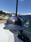Toronto Blue Jays George Springer Custom Rawlings Mach Pro Custom Helmet