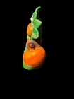 Vintage Florida Orange Tree Figurine W Orange Salt Pepper Shakers Souvenir Set