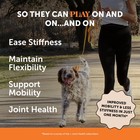 Hip   Joint Health Soft Chews For Dogs  Joint Supplement With Glucosamine Cho   