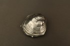 Antique Silver Plated Metal Clam Shell Snuff Box Marine Pill Case