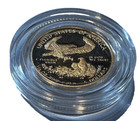 2013 Gold Proof American Eagle 1 10 Oz Gold  5 Dollar Coin