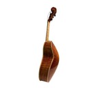 Mariachi Vihuela Meraz Violin Shaped