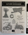 Stampin  Up Bundle Autumn Goodness Photopolymer Stamp Set And Coordinating Dies