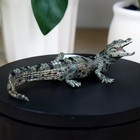 Baby Crocodile Reptile Figure - Hand Painted   Collectible Toy - Papo 50137