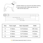 Us Luxury Leather Designer Dog Collar Fashion Pet Puppy Soft Padded Brass Buckle