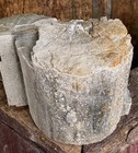       rr        Detailed Druzy Rough Woodworthia Petrified Wood Ne Az  1 75 Lb 