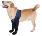 Dog Front Paws Socks   Paw Protectors Helps Recover  Non-slip Waterproof Xl Blue