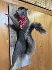 Cowboy Squirrel Squirrel Taxidermy