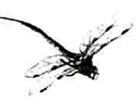 Natural Deerfly Repellent  Lifesize Dragonfly Predator  Motion Activated Replica