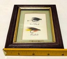 Trout Vintage Framed Fly Fishing Flies 4   x 5    Teal Black Dunkeld Wall Art Design