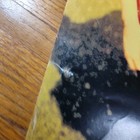 Vintage 1994 Green Day Dookie Era Record Store Promotional Poster Funky Rare