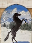 Vintage Busch Beer Sign 80s 90s Bar Advertising Black Horse Plastic 25   x15   