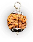 1 Mukhi Round Rudraksha From Nepal 17mm-19mm Underdeveloped Igl Lab Certified