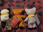 Fire Flames Bear Grateful Dead Beanie Limited Edition Plush Doll Nwt Collectible
