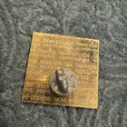 Outback Steakhouse Brews Brothers Blues Parody Koala Kangaroo Crew Lapel Pin Roc