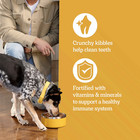 Pedigree Dry Dog Food For Adult Dogs  High Protein  Beef And Lamb Flavor  40 Lb