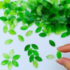 100g Petal Leaves Mosaic Tiles Bulk Stained Glass Pieces Home Decor Diy Quality