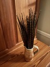 Pheasant Tail Feather Wild  32 Pieces 14-16    Fly Tie Crafts Hat Millinery