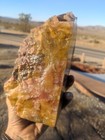 6 2 Lb Arizona Petrified Wood Bookend Brown Rainbow Polished Fossil Rock Red  