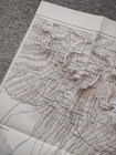 1908 Original Antique Map Showing Part Of Guatemala