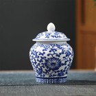 Chinese Blue And White Porcelain Temple Jar Vase With Lid