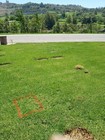 Cemetery Plots For Sale