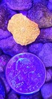 Wysiwyg Ultra Poletti Jawbreaker Mushroom Live Coral Frag High Color Free Ship 