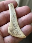 Interesting Polished Deer Bone Flared Bit Celt Adze Fleshing Tool Scraper Nd