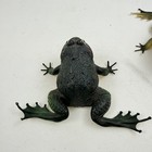 Vintage 1980 Imperial Toy Rubber Frog Toad Figure Squeeze Toy Lot Of 2