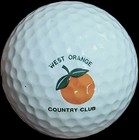 Florida Golf Course Logos