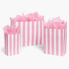 Cabana Stripe Pink Design Gift Paper Bag Choose Size   Package Amount
