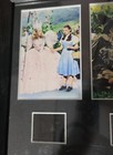 The Wizard Of Oz 35mm Filmcell Framed Presentation