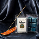 Nag Champa Incense Scented Melt- Maximum Scent Wax Cubes melts- 1 Pack -2 Ounces