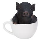 Black Pig In Tea Cup Figurine New Piggy