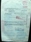 Stock Certificate Abacus Fund  Inc  Payee Cede   Co