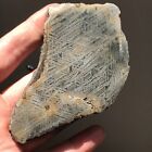 Natural Aletai Iron Meteorite 274 8 Grams Cut Slabs Etched Perfect Fusion Crust