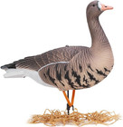 Realistic Specklebelly Goose Decoys - Durable And Detailed Hunting    