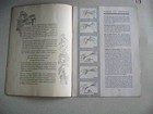 Book Of Tatting  1934 Spool Cotton Company Book 39 -- Instructions   Patterns