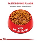 Royal Canin Breed Health Nutrition Poodle Adult Dry Dog Food  10 Lbs 