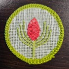 Bsa Forestry Merit Badge Type F - Rolled Edge Khaki 1961-1968