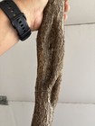 Diamond Willow  unique      Staff  57  You Carve  Walking Stick  Cane  Wizard